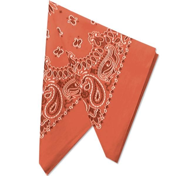 Picture of 22" Bandannas (12 Pack)