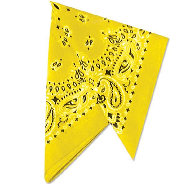Picture of 22" Bandannas (12 Pack)