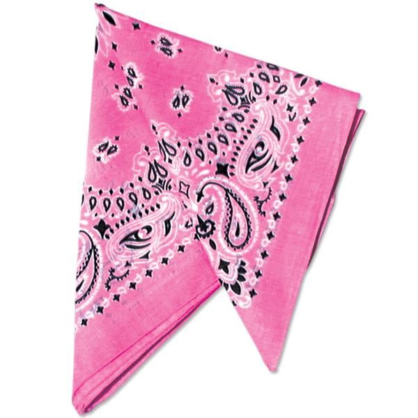 Picture of 22" Bandannas (12 Pack)