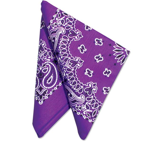 Picture of 22" Bandannas (12 Pack)