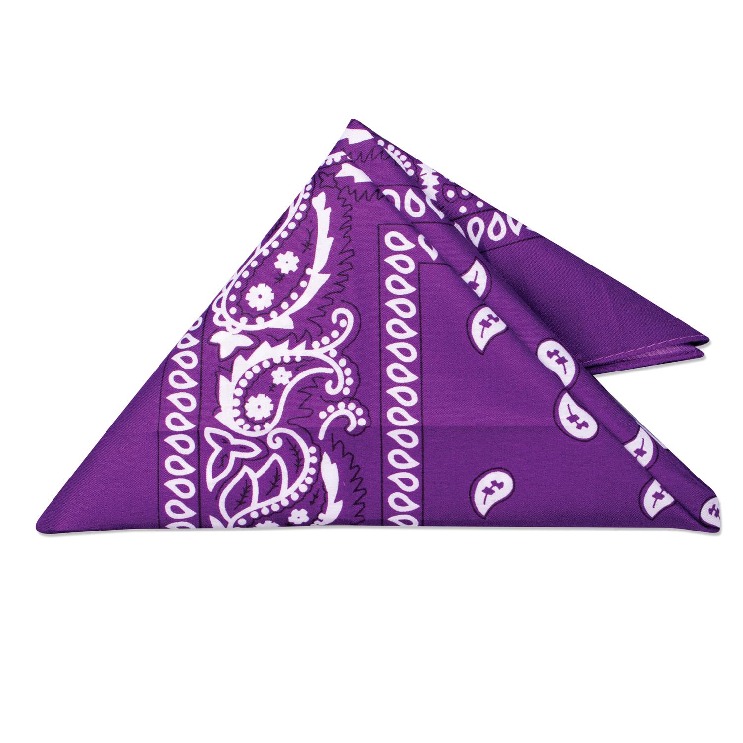 Picture of 22" Bandannas (12 Pack)