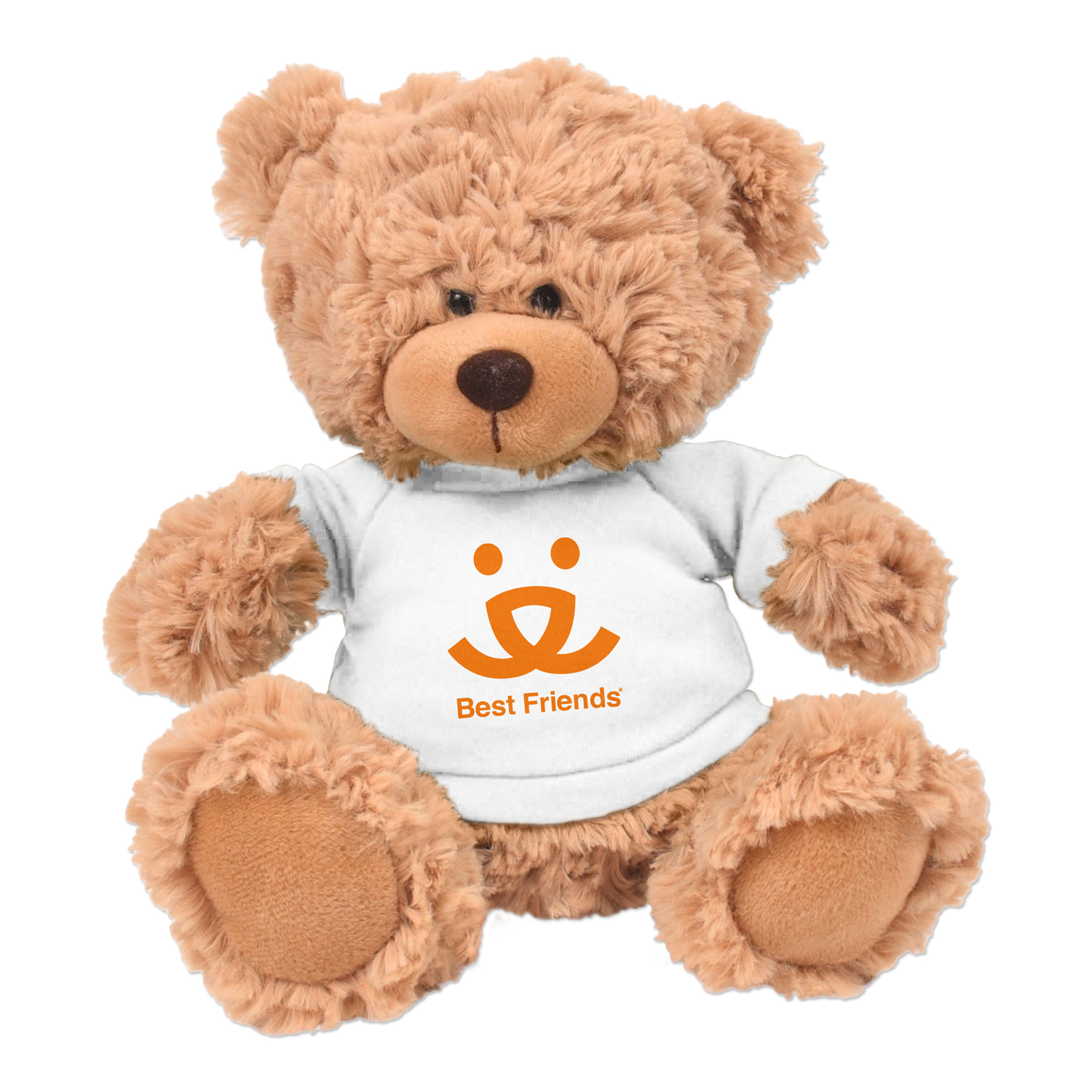 Picture of 11" Cooper Bear Plush