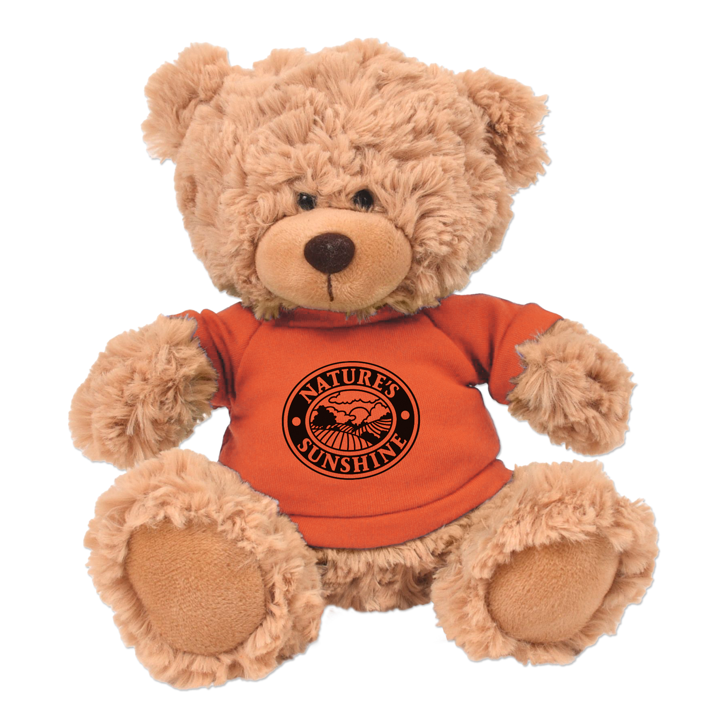 Picture of 11" Cooper Bear Plush