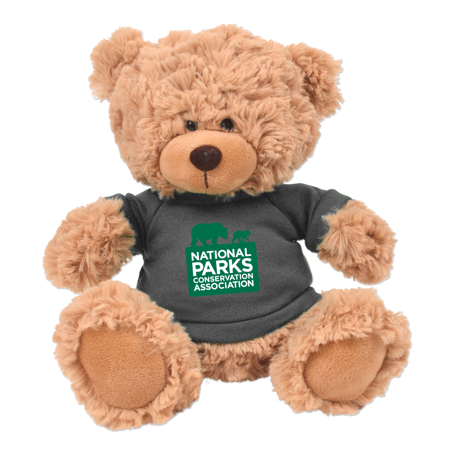 Picture of 11" Cooper Bear Plush