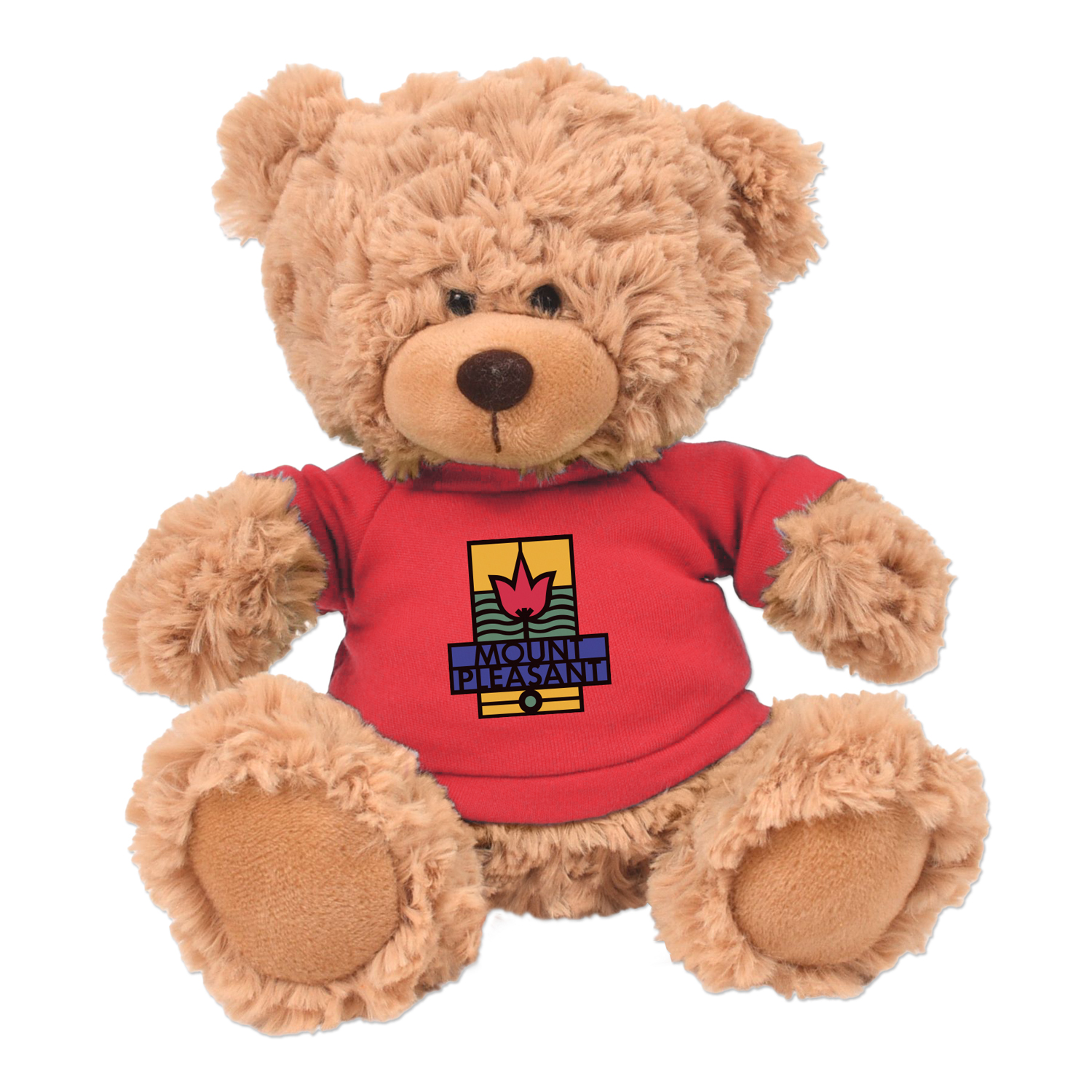 Picture of 11" Cooper Bear Plush