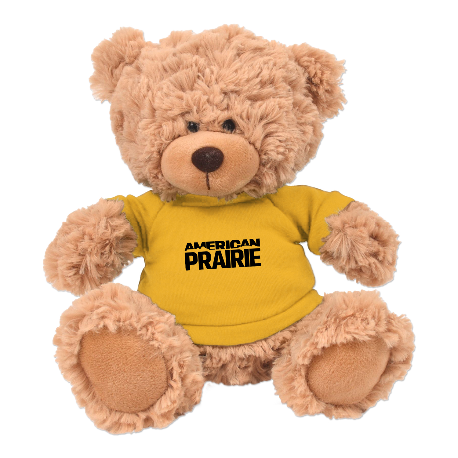 Picture of 11" Cooper Bear Plush