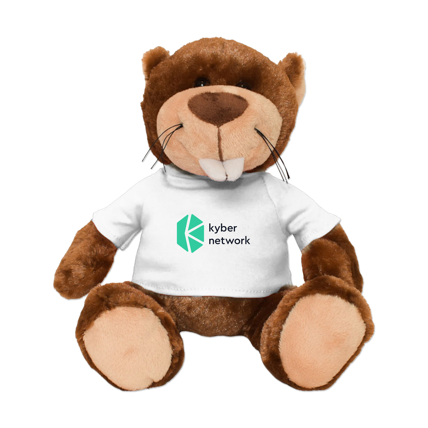 Picture of 11" Bucky Beaver Plush