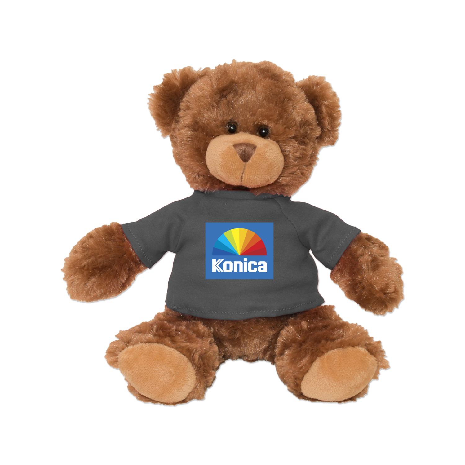 Picture of 11" Roary Bear Plush