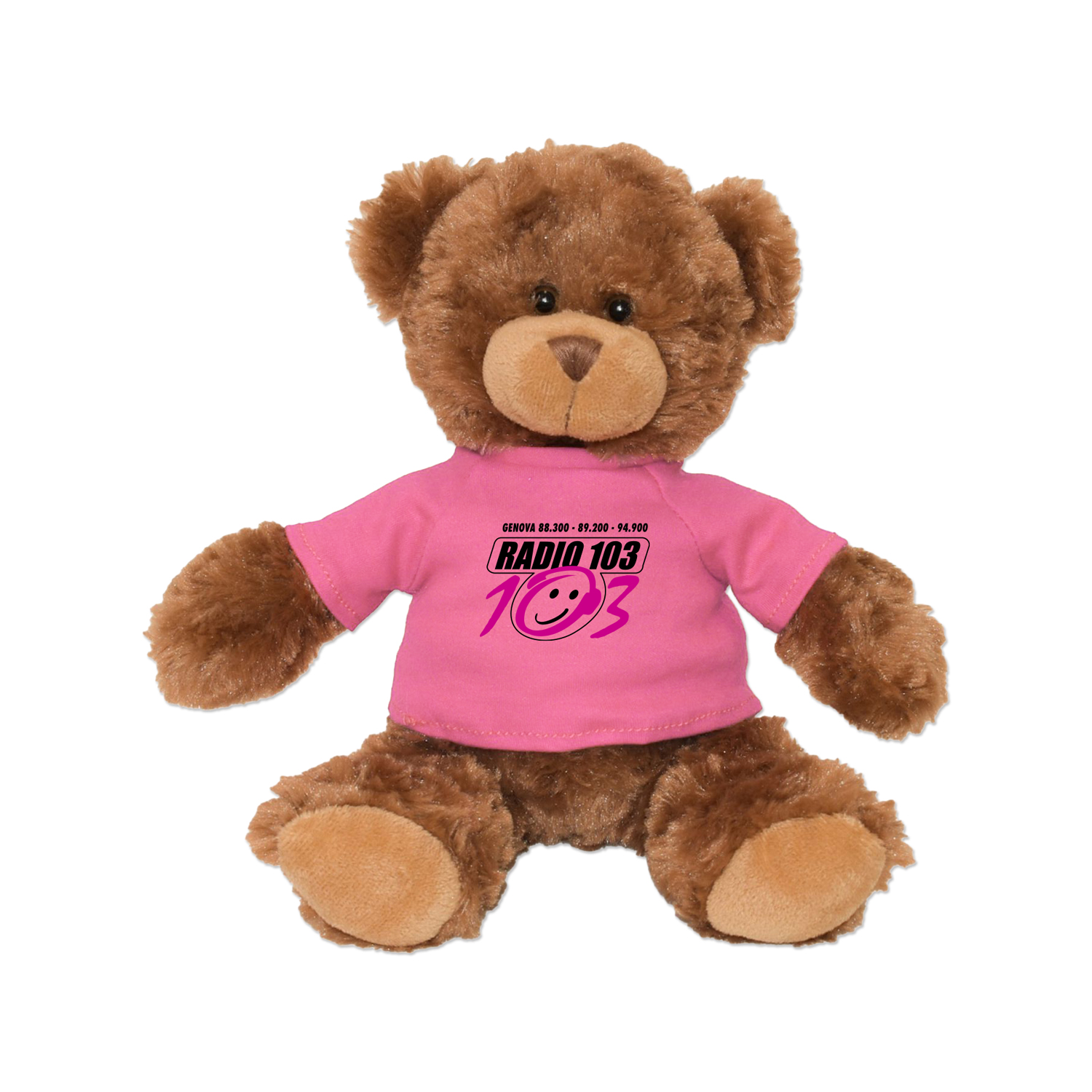 Picture of 11" Roary Bear Plush