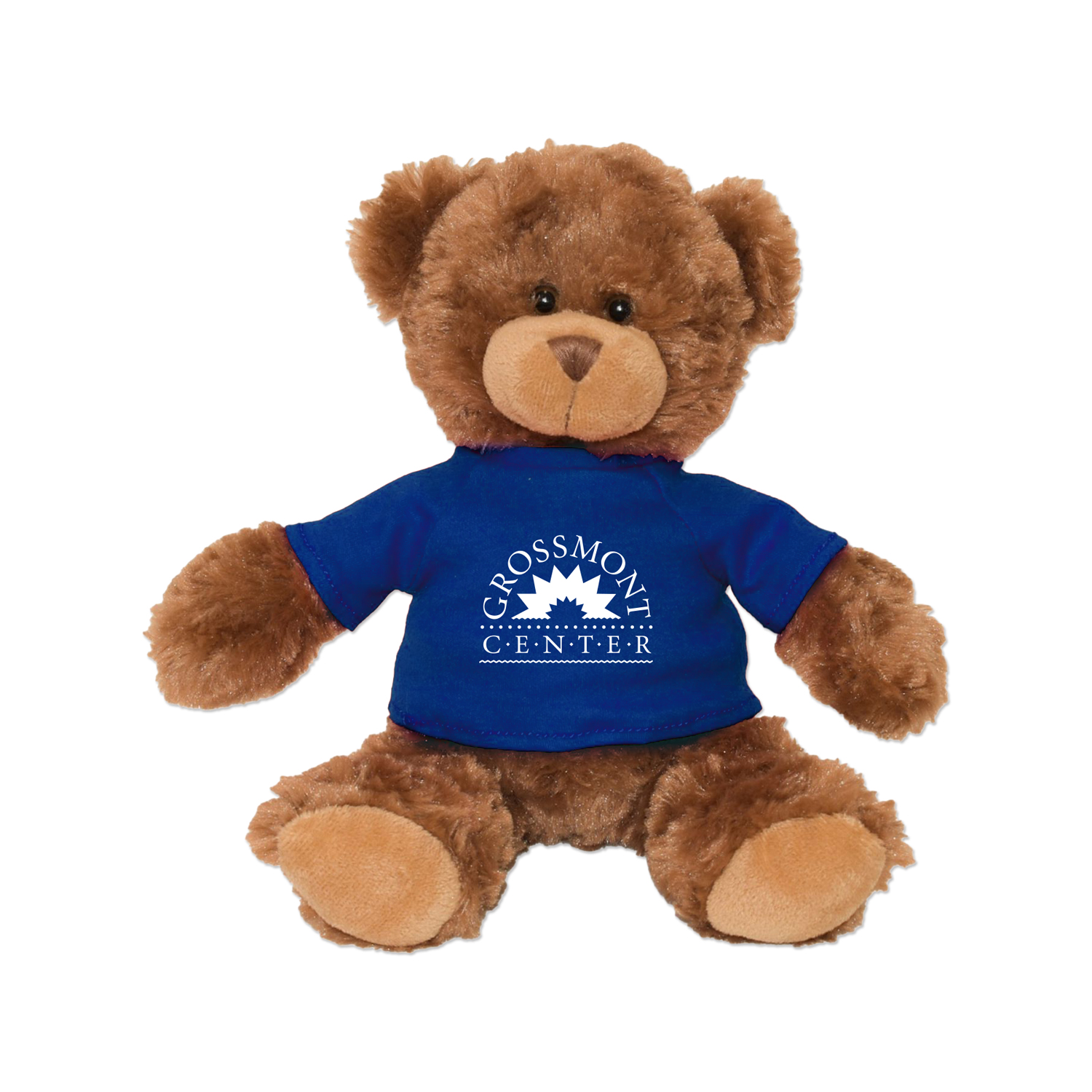 Picture of 11" Roary Bear Plush